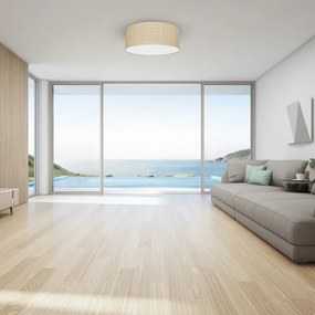 Plafonieră MARSHALL 2xE27/60W/230V