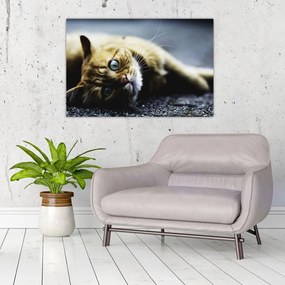 Tablou cu pisica (90x60 cm)