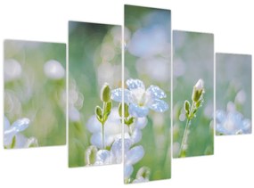 Tablou - Flori delicate (150x105 cm)