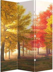 Paravan - Copaci toamna (126x170 cm)