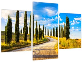 Tablou - Peisaj (90x60 cm)