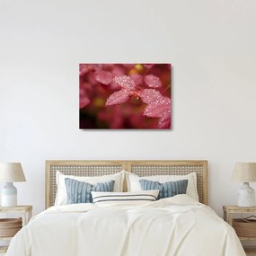 Tablou pe sticlă - Imagine macro a biletului (70x50 cm)