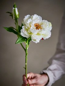 Plantă artificială (înălțime 62 cm) Peony – Bloomingville