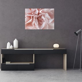 Tablou - Detaliu flori (70x50 cm)