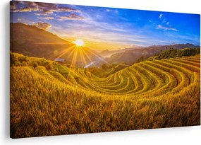 Tablou - Terasele de orez din Vietnam (90x60 cm)