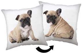 Câine Bulldog pernă decorativă 40x40 cm