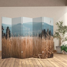 Paravan - Detaliu spațiului de luncă (210x170 cm)