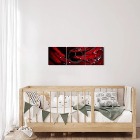 Tablou - Trandafir (cu ceas) (90x30 cm)