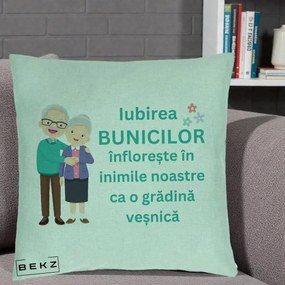 Cadou pentru Bunici - Perna Personalizata Bunicii Iubirea Infloreste Cuplu Senior Teal, 40x40 cm, Verde Menta, Husa Detasabila, Perna Inclusa, BEKZ®