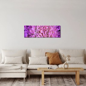 Tablou detailat cu floare (cu ceas) (90x30 cm)