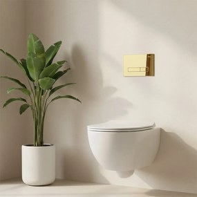 Cadru WC încastrat Rea cu buton HD Gold