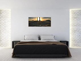 Tablou - cactușii la soare (120x50 cm)