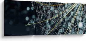 Tablou - Floare cu pânză de pâianjen (cu ceas) (90x30 cm)
