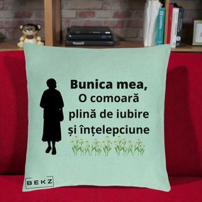 Cadou pentru Bunica - Perna Personalizata Bunica Mea Comoara Iubire Intelepciune Silueta cu Nepoata, 40x40 cm, Verde Menta, Husa Detasabila, Perna Inclusa, BEKZ®