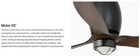 Lustra cu Ventilator si telecomanda ETERFAN M LED negru mat/nuc