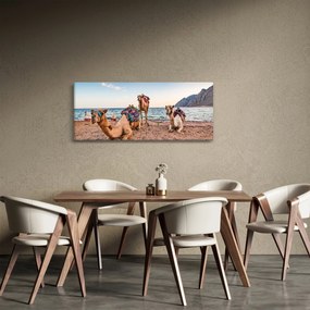 Tablou cu cămile (120x50 cm)
