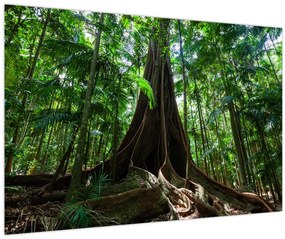Tablou - Rădăcinile copacului (90x60 cm)