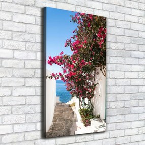 Print pe canvas Străzile grecești