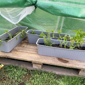 Folie pentru pat germinativ de grădină 0,94x1,4x1,8 m