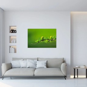 Tablou con verde (90x60 cm)