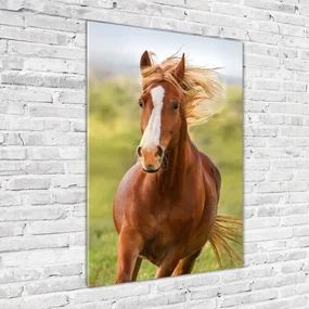 Imagine de sticlă Un cal în galop