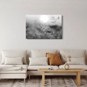Tablou - Pajiște de toamnă (90x60 cm)