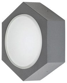 Aplica perete LED de exterior IP54 Avola 7964 RX