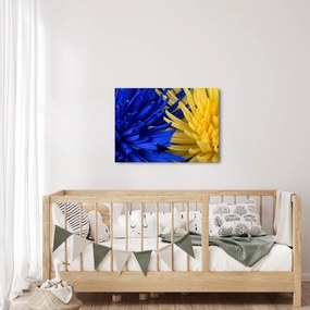 Tablou - detaliu florilor (70x50 cm)