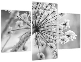 Tablou - Floare în timpul iernii (90x60 cm)