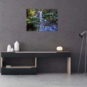 Tablou pe sticlă cu pădurea ploilor din Austalia (70x50 cm)