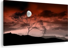 Tablou - Luna luminează noaptea (90x60 cm)