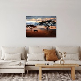 Tablou - Parcul Național Serengeti, Tanzania, Africa (70x50 cm)