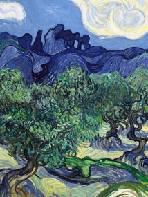 Artă imprimată The Olive Trees (Portrait Edition) - Vincent van Gogh, (30 x 40 cm)