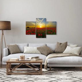 Tablou cu câmp cu maci (90x60 cm)