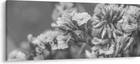 Tablou - Flori uscate (120x50 cm)