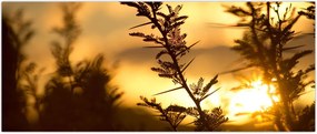 Tablou - Apus de soare (120x50 cm)