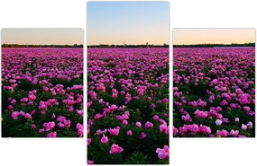 Tablou - Pajiștea cu lalele violet (90x60 cm)