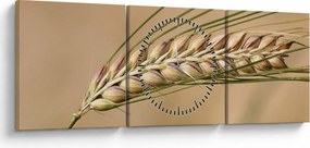 Tablou - Grâu (cu ceas) (90x30 cm)