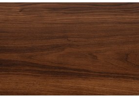 Comodă TV maro cu aspect de lemn de nuc 120x50x40 cm Stripes – White Label