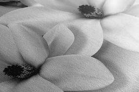 Tablou magnolie luxoasă cu perle în alb-negru