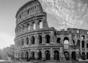 Tablou - Colosseum din Roma, alb-negru (70x50 cm)