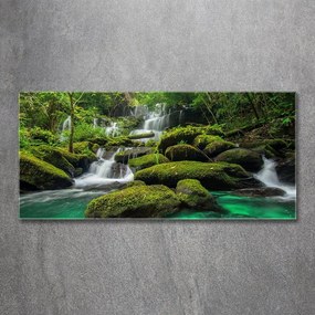 Tablou pe acril Cascada din pădure