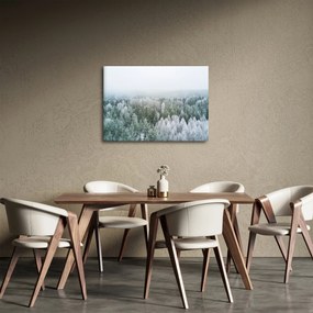 Tablou - Crestele munțillor înzăpezite (70x50 cm)