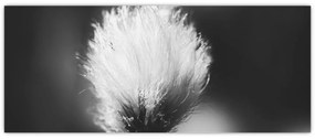 Tablou - Coțofană neagră și albă (120x50 cm)