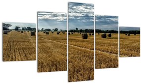 Tablou cu câmp recoltat (125x70 cm), în 40 de alte dimensiuni noi