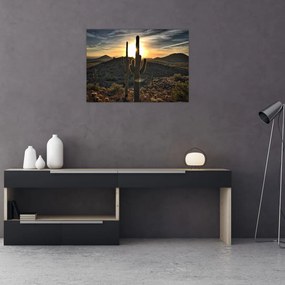 Tablou pe sticlă - cactușii la soare (70x50 cm)