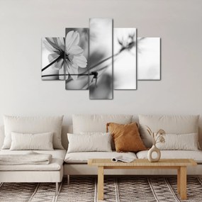 Tablou - Flori alb-negru (150x105 cm)