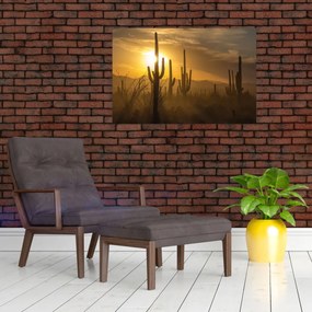 Tablou - Cactuși Saguaro (90x60 cm)