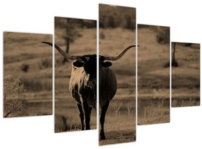 Tablou - Vacă din Texas (150x105 cm)