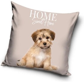 Câine Home husă pernă 40x40 cm